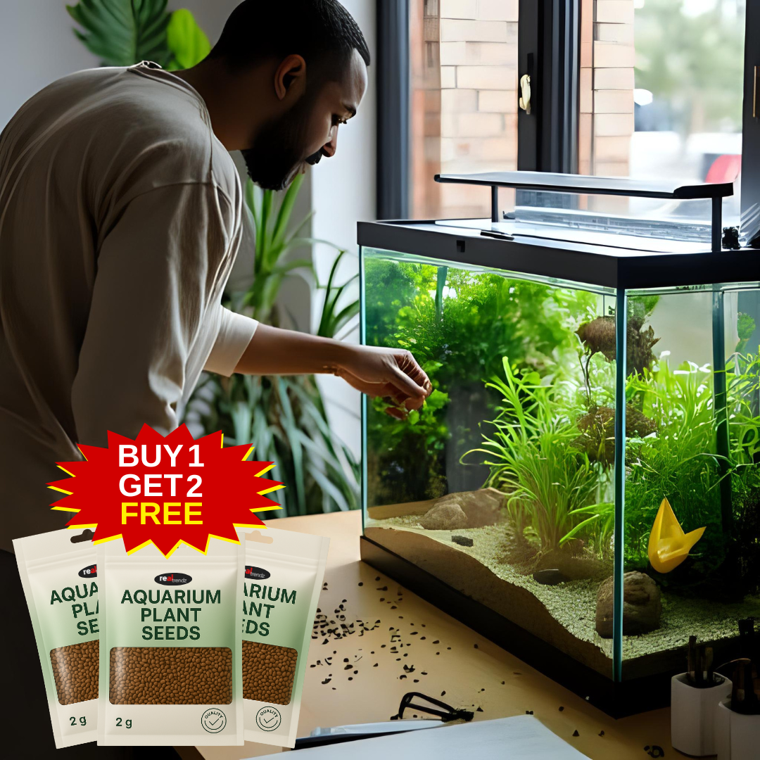 Double-Leaf Aquarium Plants Seeds | BUY 1 GET 2 FREE