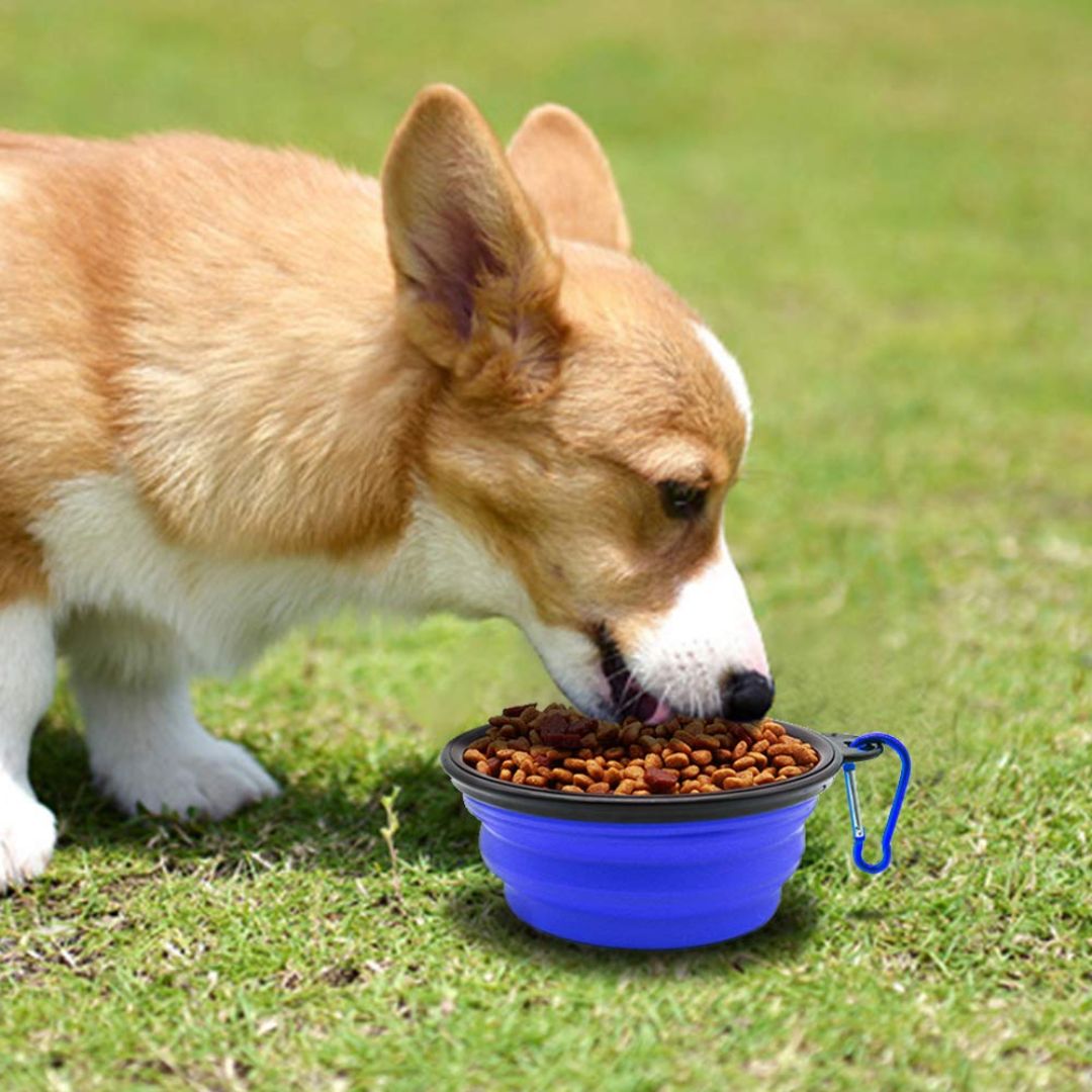 Foldable Silicone Pet Feed Bowl