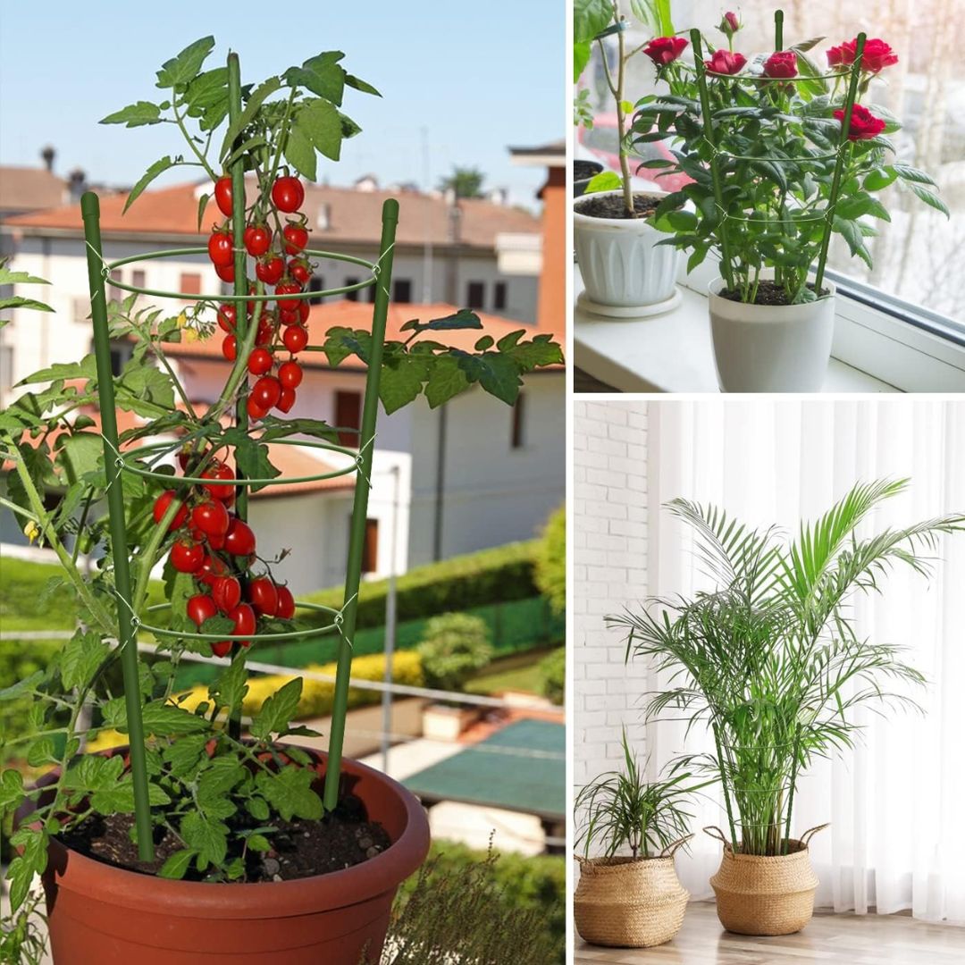 3 Layer Plant Support Cage