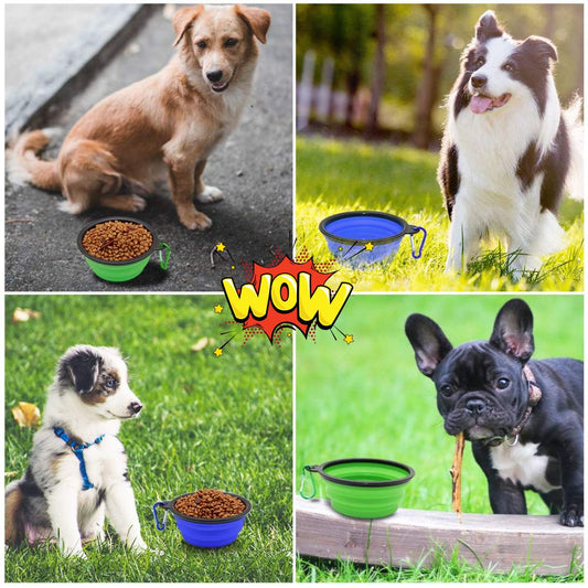 Foldable Silicone Pet Feed Bowl
