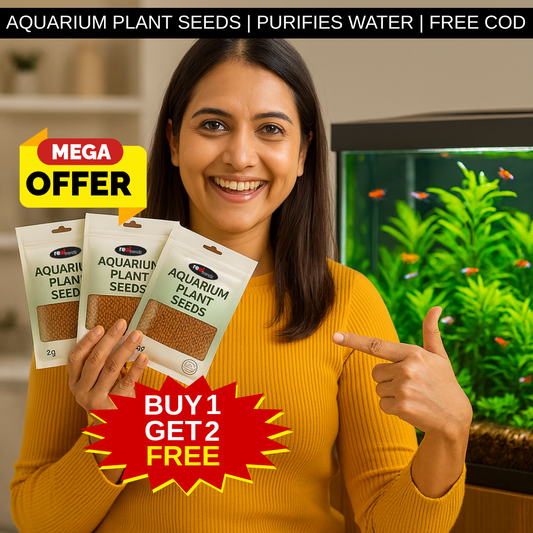 Double-Leaf Aquarium Plants Seeds | BUY 1 GET 2 FREE