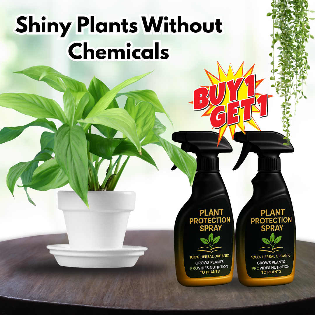 Plant Protection Spray - 100% ORGANIC & HERBAL (BUY 1 GET 1 FREE)
