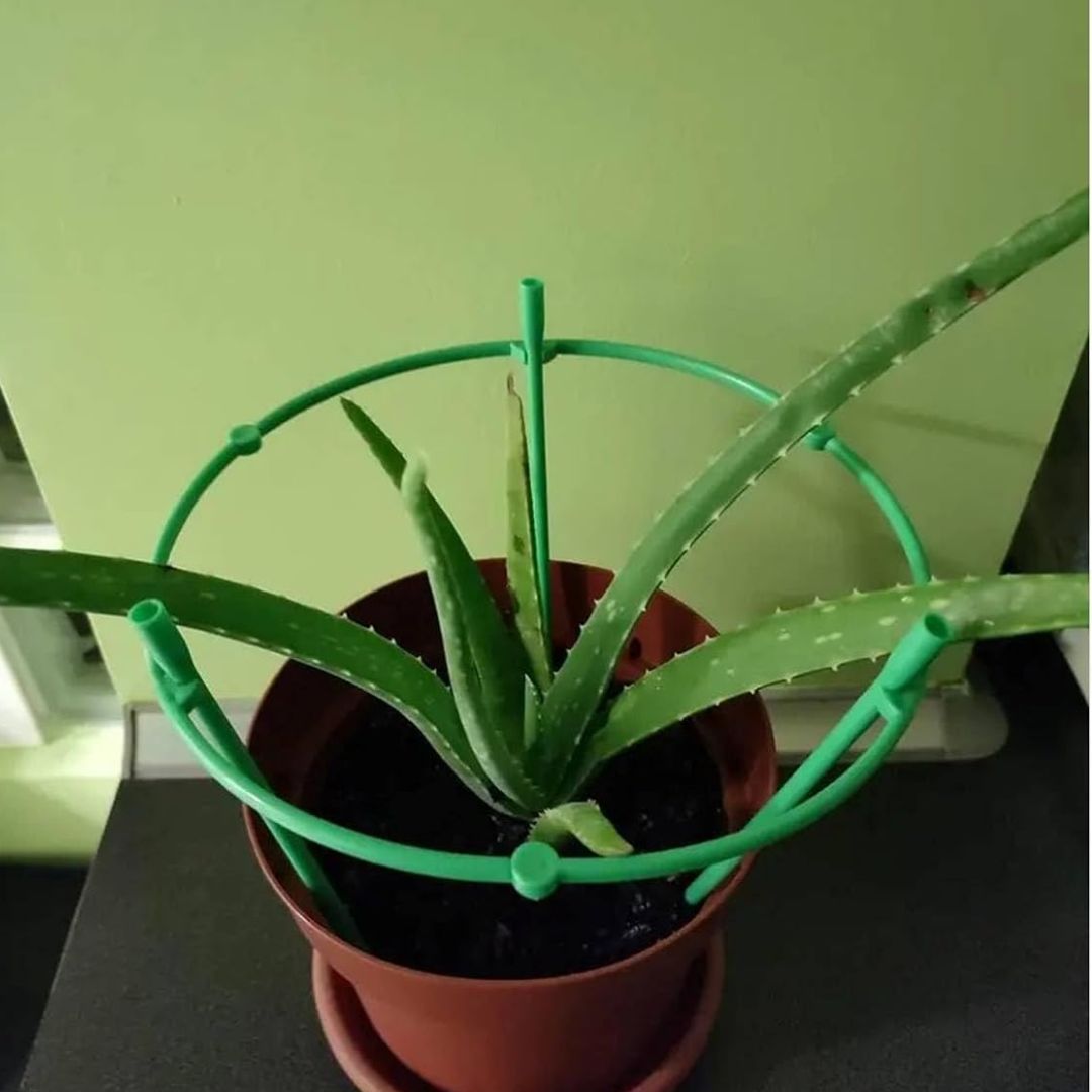 3 Layer Plant Support Cage