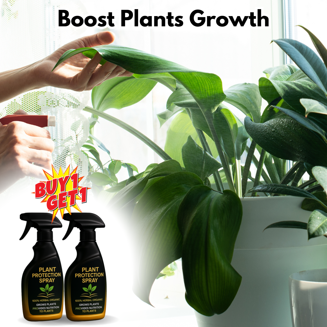 Plant Protection Spray - 100% ORGANIC & HERBAL (BUY 1 GET 1 FREE)