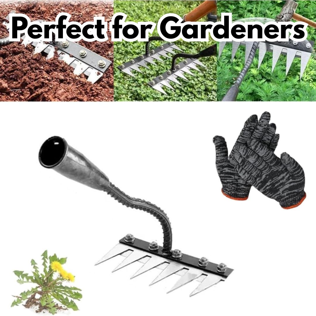 5 Teeth Carbon Steel Garden Weeding