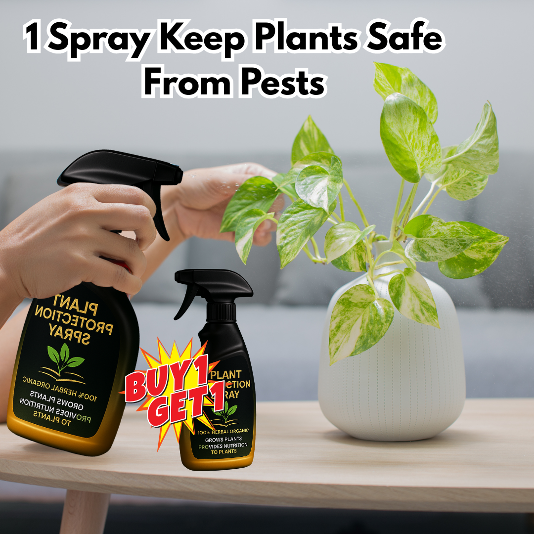 Plant Protection Spray - 100% ORGANIC & HERBAL (BUY 1 GET 1 FREE)