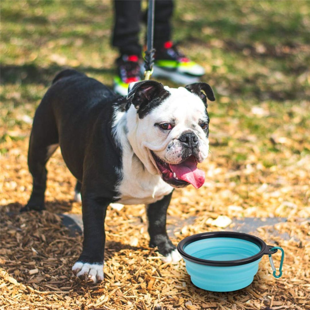Foldable Silicone Pet Feed Bowl