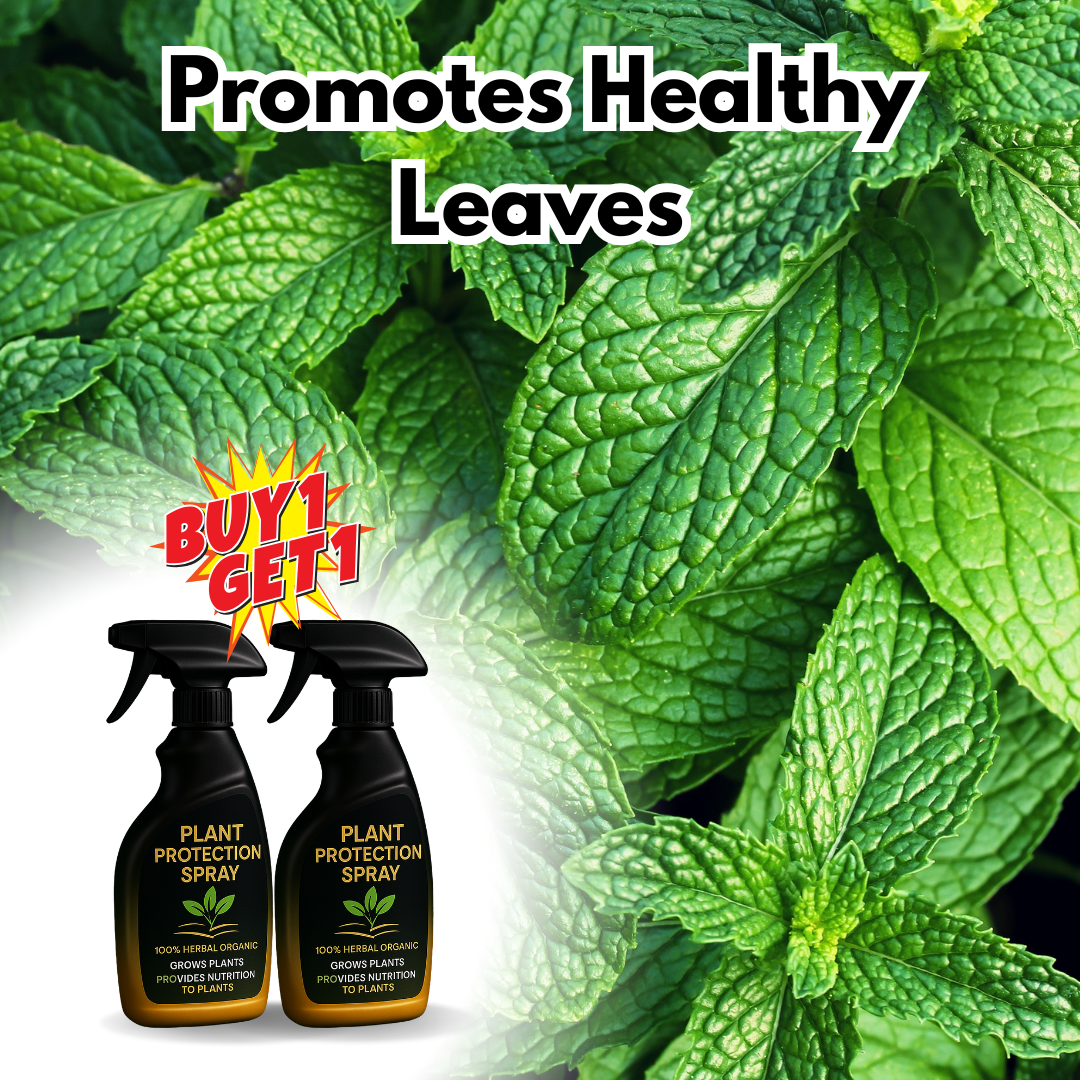Plant Protection Spray - 100% ORGANIC & HERBAL (BUY 1 GET 1 FREE)