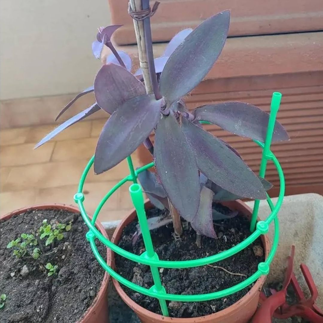 3 Layer Plant Support Cage