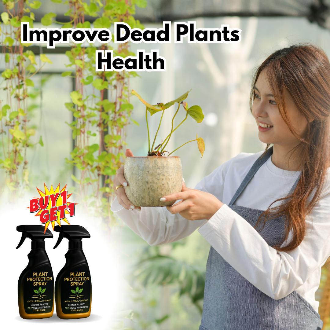 Plant Protection Spray - 100% ORGANIC & HERBAL (BUY 1 GET 1 FREE)