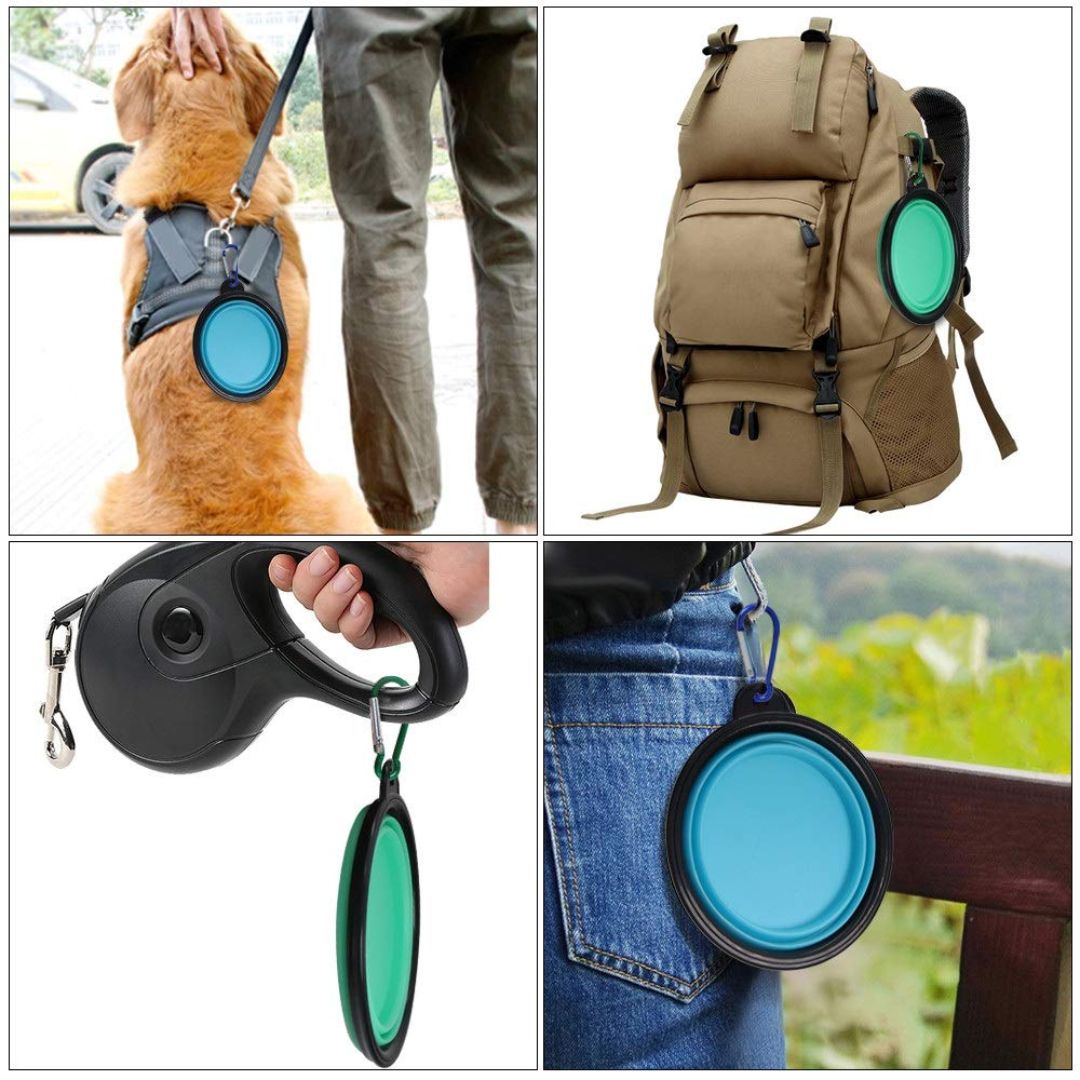 Foldable Silicone Pet Feed Bowl