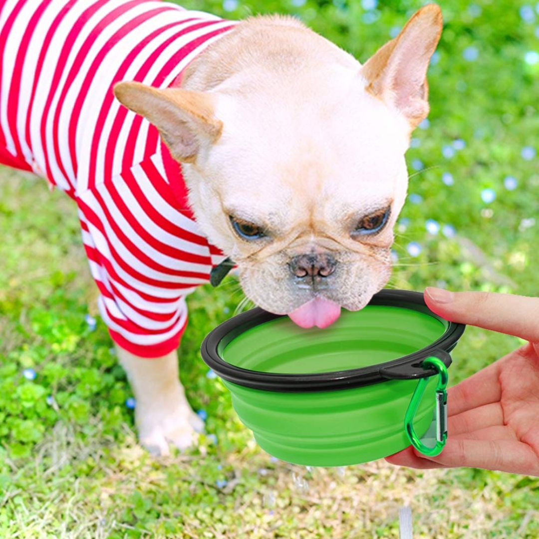 Foldable Silicone Pet Feed Bowl